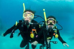 科琳·坎贝尔在澳大利亚浮潜和潜水